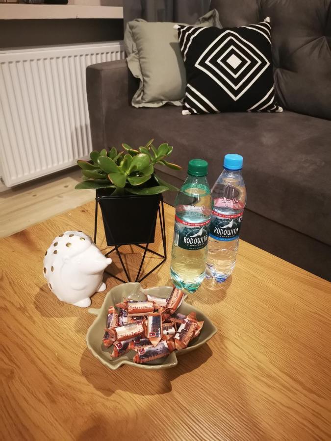 Czwarte Pietro Apartment *